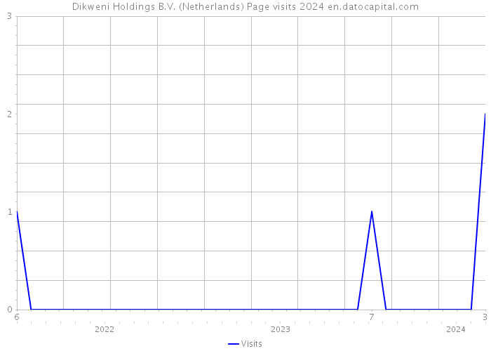 Dikweni Holdings B.V. (Netherlands) Page visits 2024 