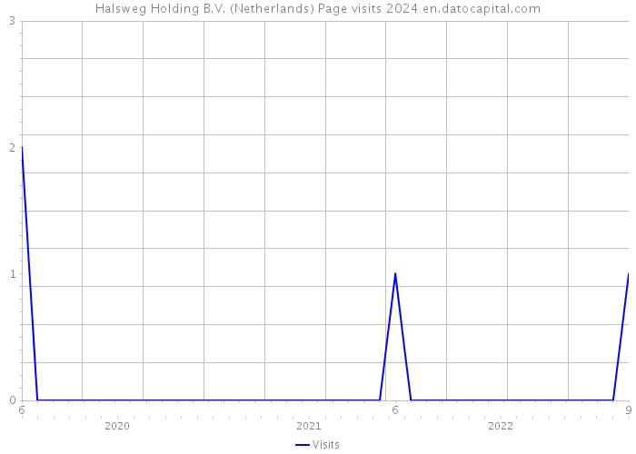 Halsweg Holding B.V. (Netherlands) Page visits 2024 