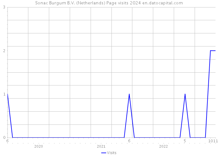 Sonac Burgum B.V. (Netherlands) Page visits 2024 