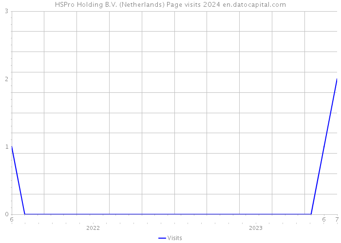 HSPro Holding B.V. (Netherlands) Page visits 2024 