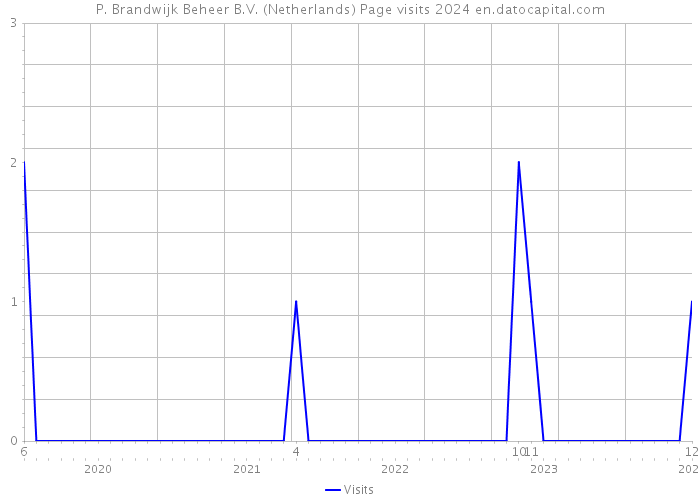 P. Brandwijk Beheer B.V. (Netherlands) Page visits 2024 