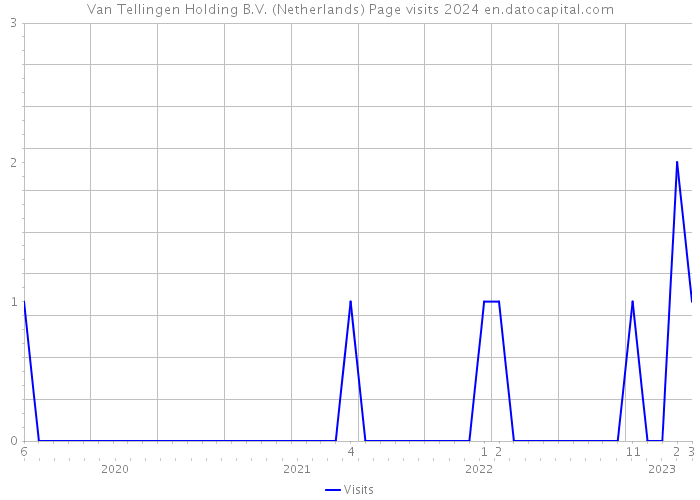 Van Tellingen Holding B.V. (Netherlands) Page visits 2024 