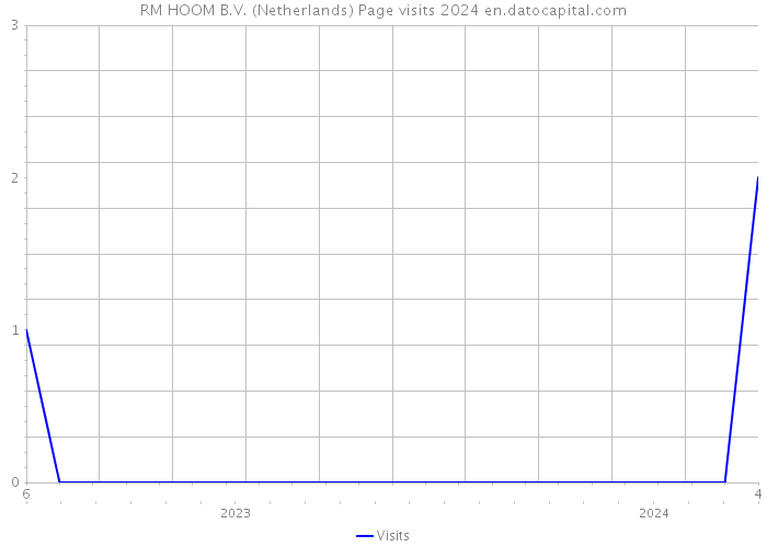 RM HOOM B.V. (Netherlands) Page visits 2024 