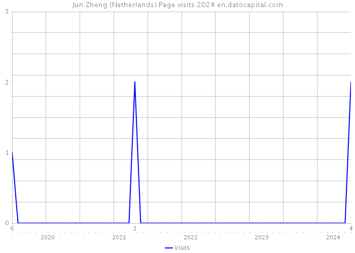 Jun Zheng (Netherlands) Page visits 2024 