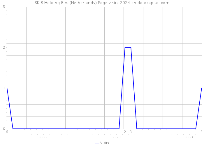 SKIB Holding B.V. (Netherlands) Page visits 2024 