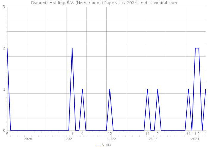 Dynamic Holding B.V. (Netherlands) Page visits 2024 