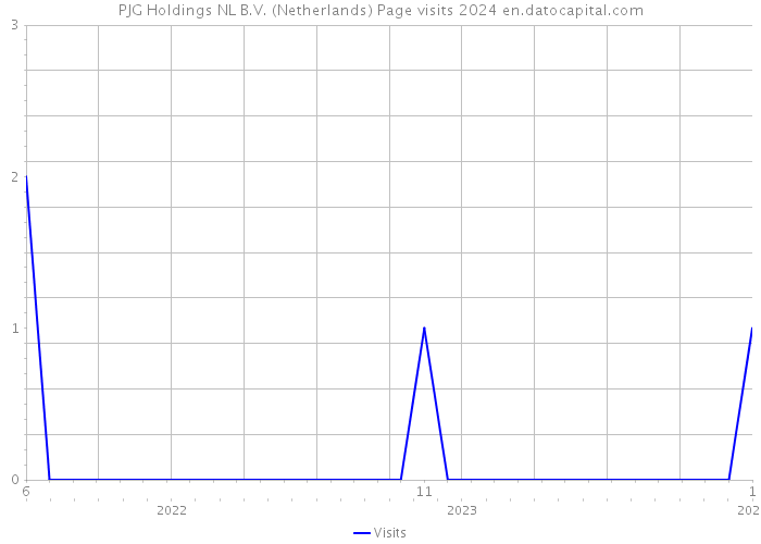 PJG Holdings NL B.V. (Netherlands) Page visits 2024 