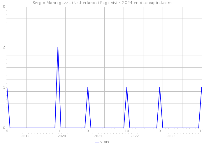 Sergio Mantegazza (Netherlands) Page visits 2024 