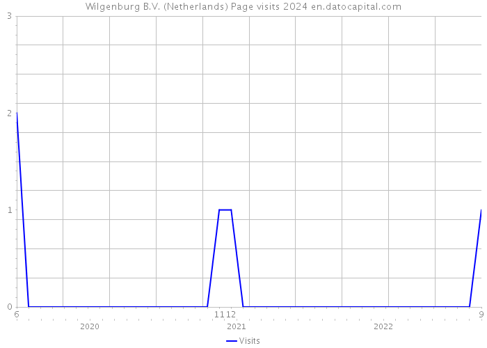 Wilgenburg B.V. (Netherlands) Page visits 2024 