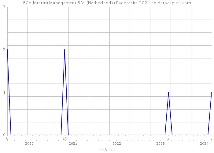 BCA Interim Management B.V. (Netherlands) Page visits 2024 