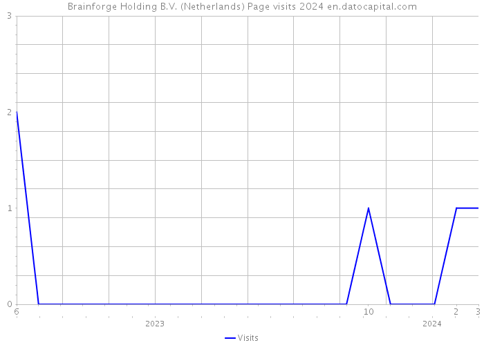 Brainforge Holding B.V. (Netherlands) Page visits 2024 