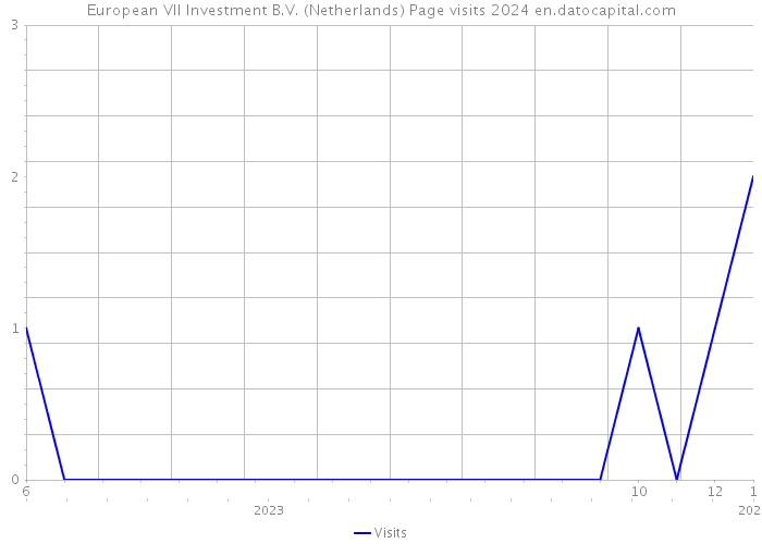 European VII Investment B.V. (Netherlands) Page visits 2024 