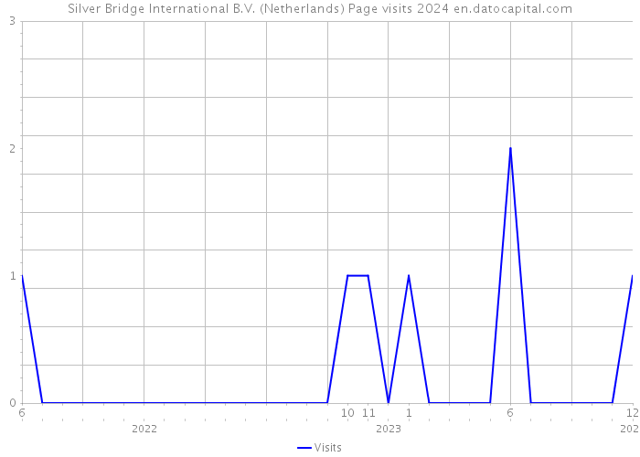 Silver Bridge International B.V. (Netherlands) Page visits 2024 