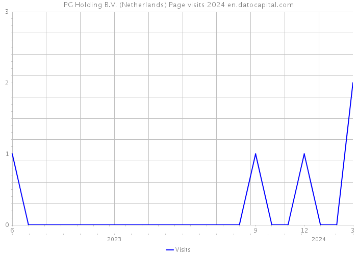 PG Holding B.V. (Netherlands) Page visits 2024 
