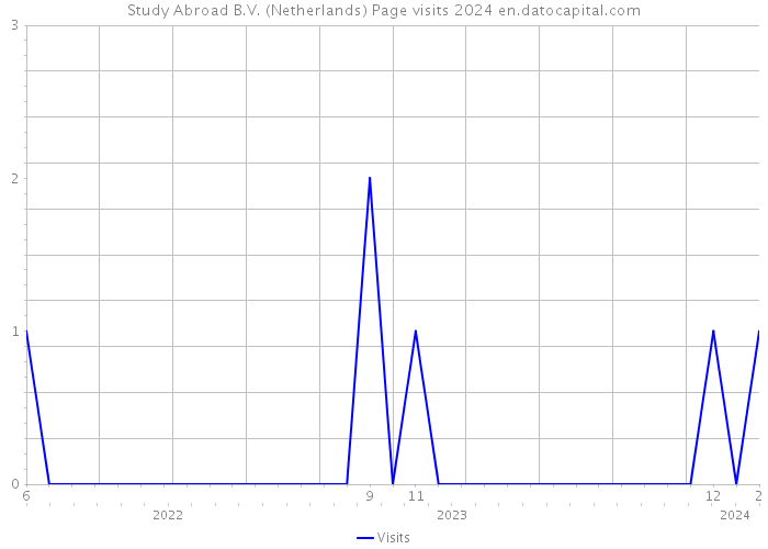 Study Abroad B.V. (Netherlands) Page visits 2024 