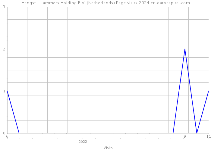 Hengst - Lammers Holding B.V. (Netherlands) Page visits 2024 