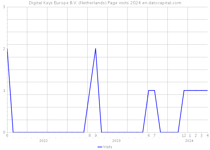 Digital Keys Europe B.V. (Netherlands) Page visits 2024 