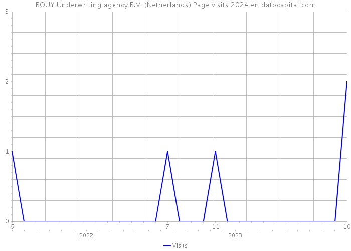 BOUY Underwriting agency B.V. (Netherlands) Page visits 2024 