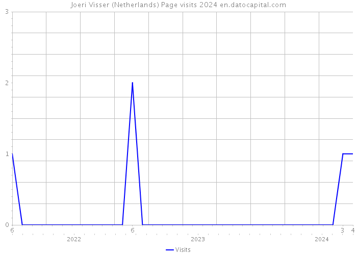 Joeri Visser (Netherlands) Page visits 2024 