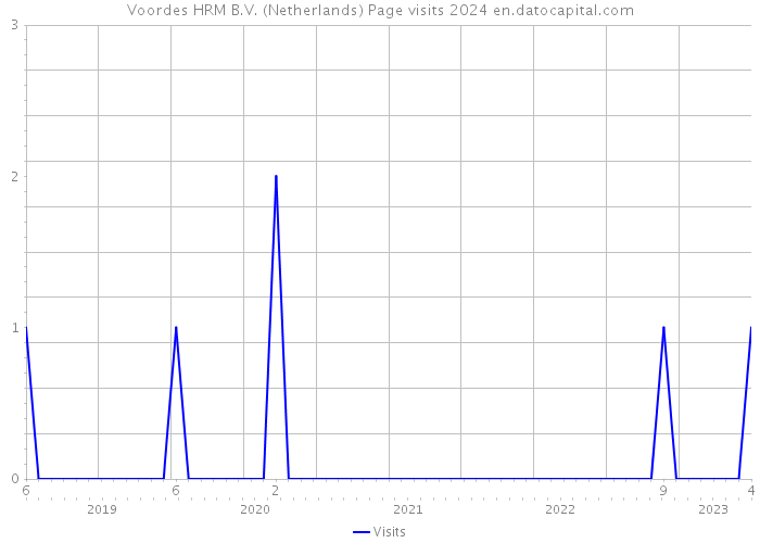 Voordes HRM B.V. (Netherlands) Page visits 2024 