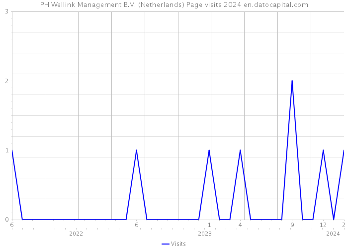 PH Wellink Management B.V. (Netherlands) Page visits 2024 