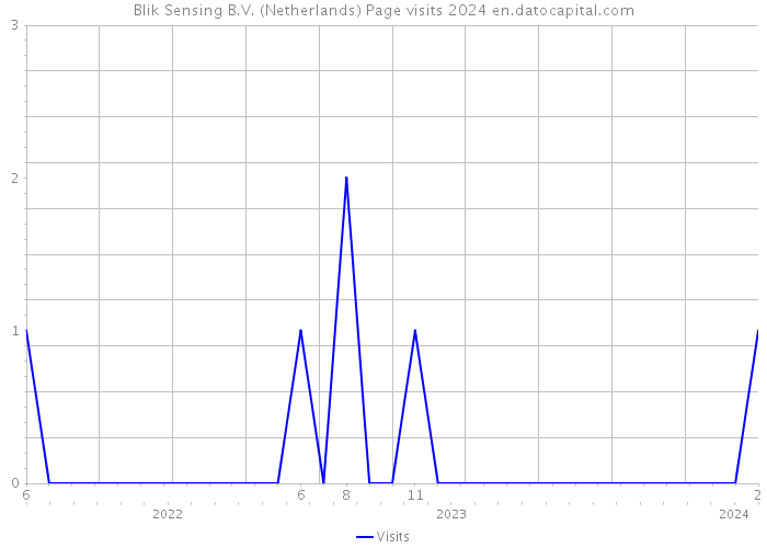 Blik Sensing B.V. (Netherlands) Page visits 2024 