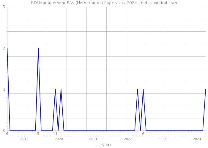 RDI Management B.V. (Netherlands) Page visits 2024 