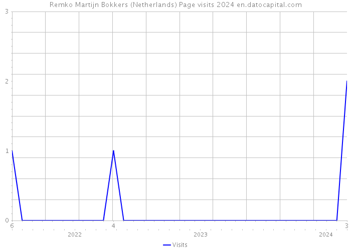Remko Martijn Bokkers (Netherlands) Page visits 2024 