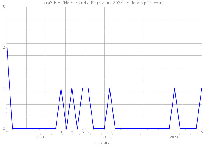 Lara's B.V. (Netherlands) Page visits 2024 