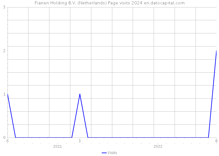 Fianen Holding B.V. (Netherlands) Page visits 2024 