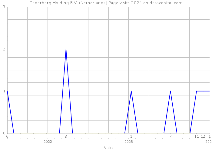 Cederberg Holding B.V. (Netherlands) Page visits 2024 