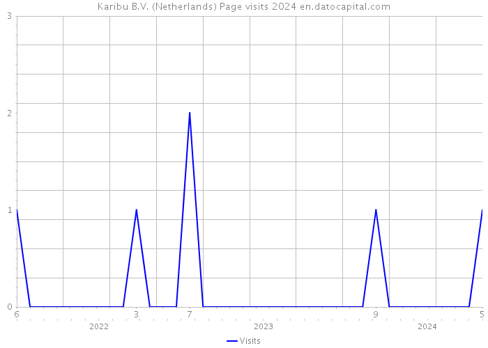Karibu B.V. (Netherlands) Page visits 2024 