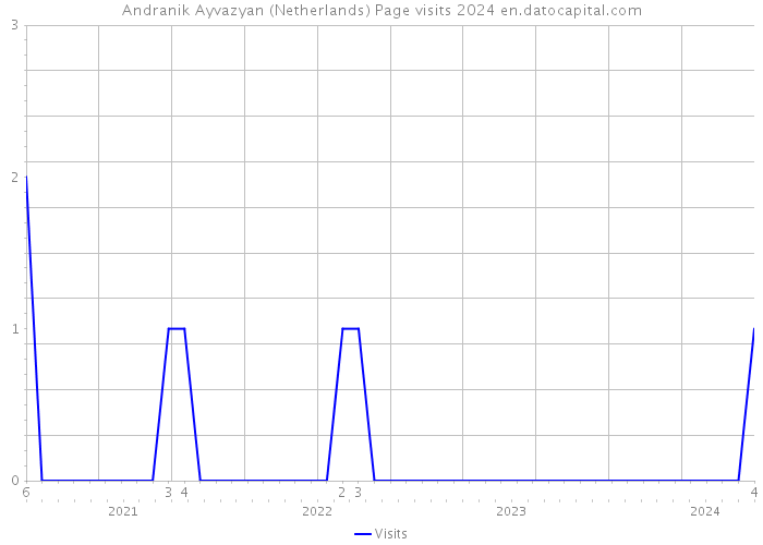 Andranik Ayvazyan (Netherlands) Page visits 2024 