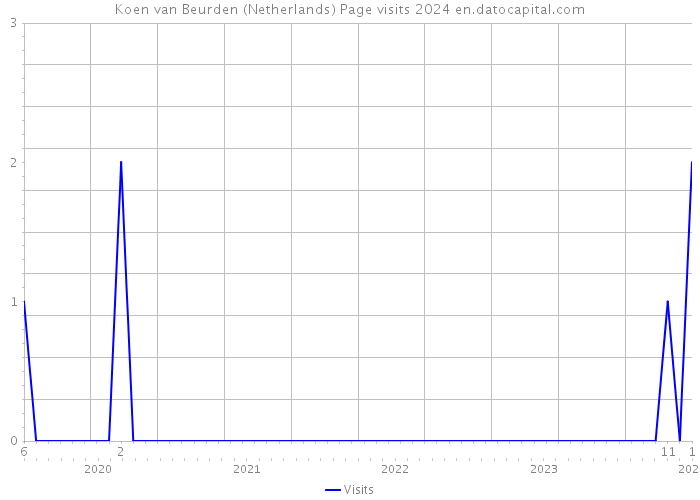 Koen van Beurden (Netherlands) Page visits 2024 