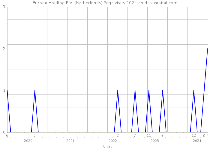 Europa Holding B.V. (Netherlands) Page visits 2024 