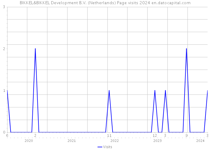 BIKKEL&BIKKEL Development B.V. (Netherlands) Page visits 2024 