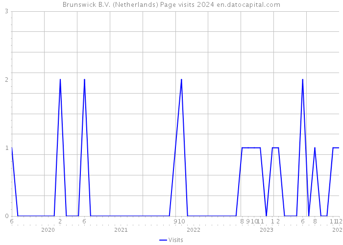 Brunswick B.V. (Netherlands) Page visits 2024 
