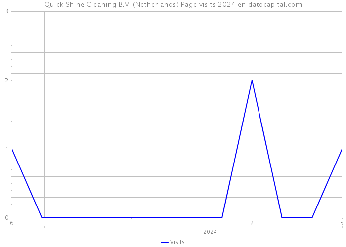 Quick Shine Cleaning B.V. (Netherlands) Page visits 2024 