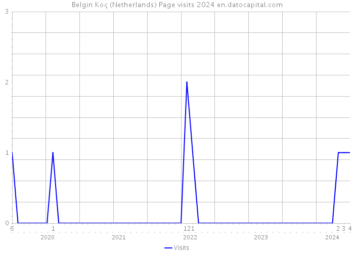 Belgin Koç (Netherlands) Page visits 2024 