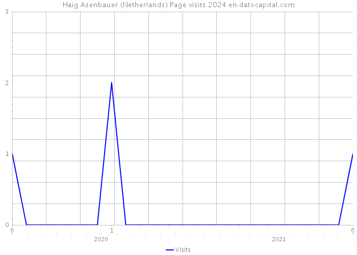 Haig Asenbauer (Netherlands) Page visits 2024 