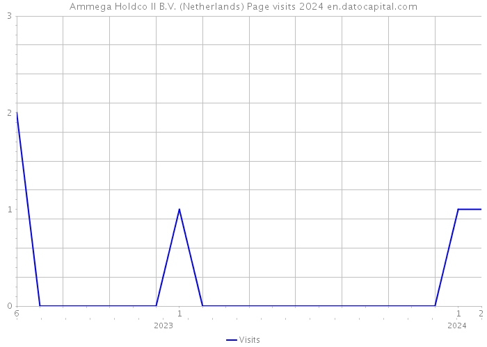 Ammega Holdco II B.V. (Netherlands) Page visits 2024 