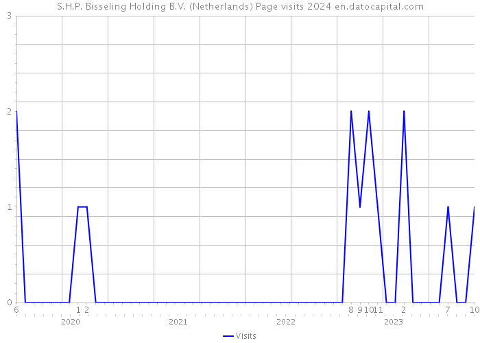 S.H.P. Bisseling Holding B.V. (Netherlands) Page visits 2024 