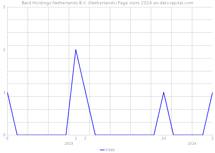 Bard Holdings Netherlands B.V. (Netherlands) Page visits 2024 