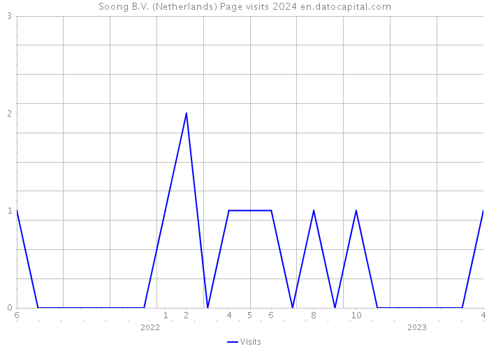 Soong B.V. (Netherlands) Page visits 2024 