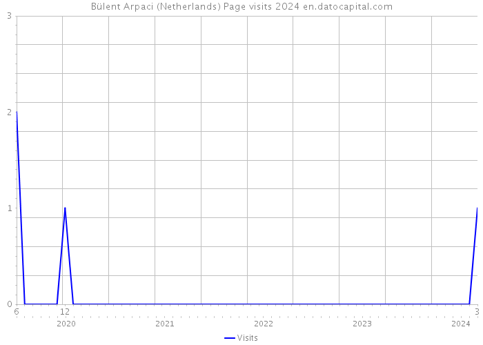 Bülent Arpaci (Netherlands) Page visits 2024 