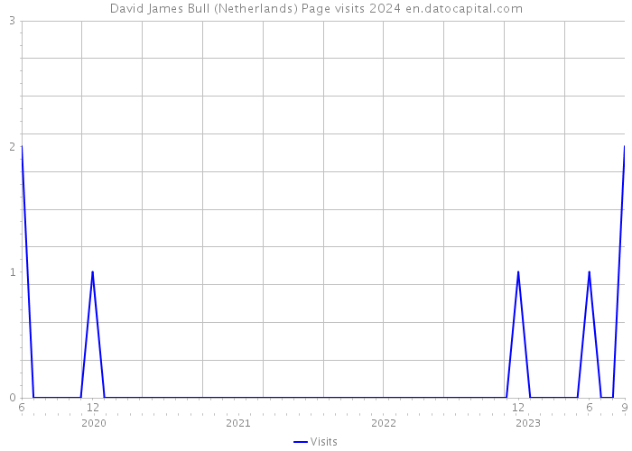 David James Bull (Netherlands) Page visits 2024 