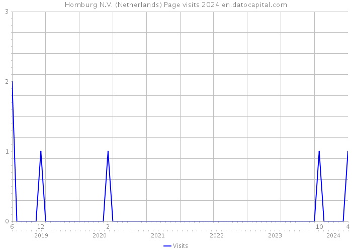 Homburg N.V. (Netherlands) Page visits 2024 