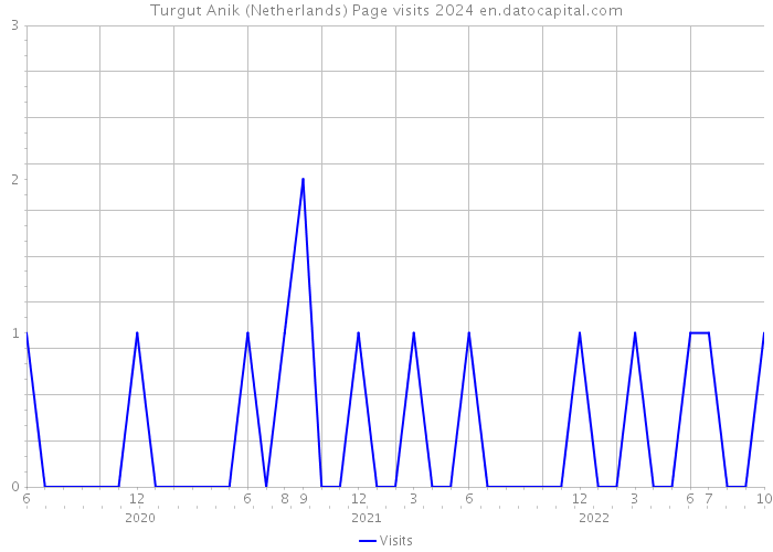 Turgut Anik (Netherlands) Page visits 2024 