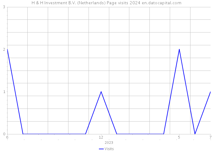 H & H Investment B.V. (Netherlands) Page visits 2024 