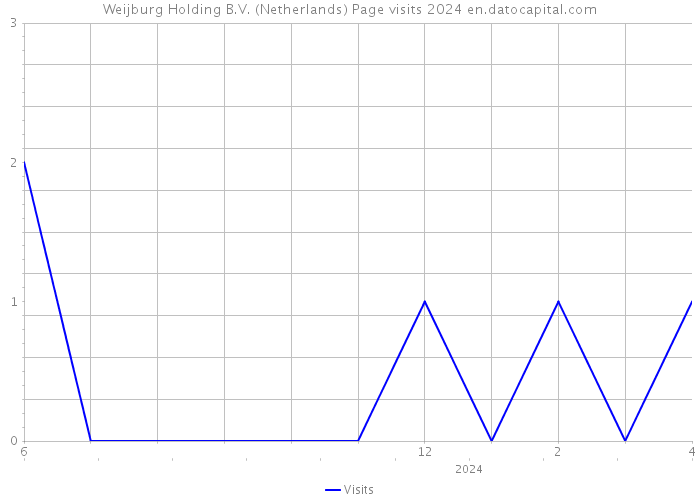 Weijburg Holding B.V. (Netherlands) Page visits 2024 
